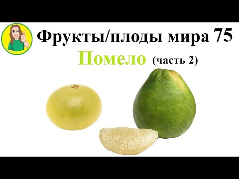 Видео: Фрукты   плоды мира 75 – Помело часть 2 Сыроедение Фрукторианство