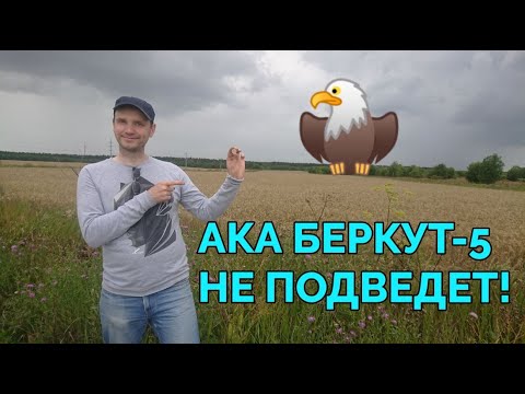 Видео: АКА Беркут 5 или металлоискатель для находок!