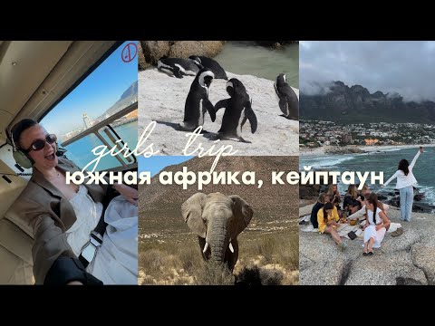 Видео: юар, кейптаун: пингвины, сафари, полет на вертолете, винодельни, маркеты, путешествие на край света