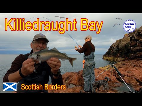 Видео: Рыбалка на скалах на суровом побережье Берикшира: неожиданный улов