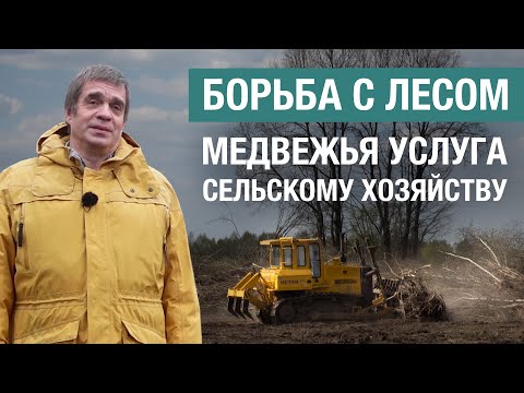 Видео: Как борьба с лесом на сельхозземлях провоцирует запустение земель в Нечерноземье