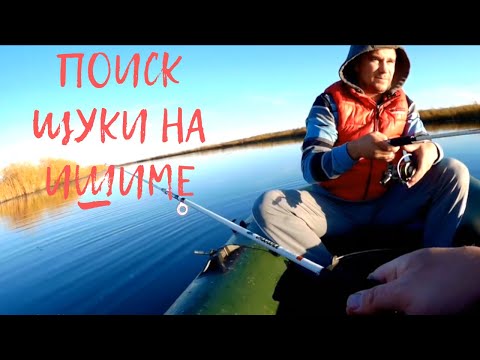 Видео: Рыбалка за Воздвиженкой. Ищем новые точки для ловли хищника.