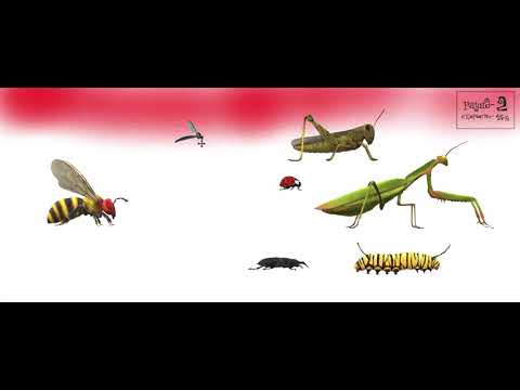 Видео: побег от пчелы ехе 1 3 раунды