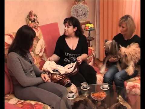 Видео: ПРЕДСТАВЛЯЕМ ПОРОДУ - КИТАЙСКАЯ ХОХЛАТАЯ СОБАКА