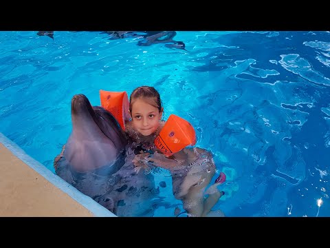 Видео: Плавание с дельфинами в Анапе