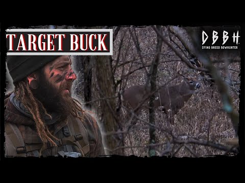 Видео: DBBH VLOG EP. 9 — БЛИЗКИЕ ЗВЕЗДЫ: ТРИ ВСТРЕЧИ ВНУТРИ 30