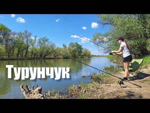 Видео: Турунчук. Ловим з сестрою на вбивцю карася. Рибалка на пружини. Пожежа на річці Турунчук