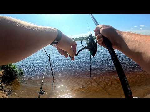 Видео: Рыбалка на ФИДЕР В НИЖЕГОРОДСКОЙ ОБЛАСТИ. Открыл СЕЗОН на ВЕТЛУГЕ