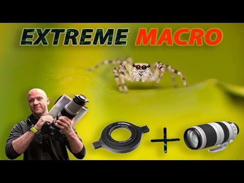 Видео: Canon 100-400mm + #Raynox DCR-250 для #макросъемки?! | Является ли это жизнеспособным вариантом?