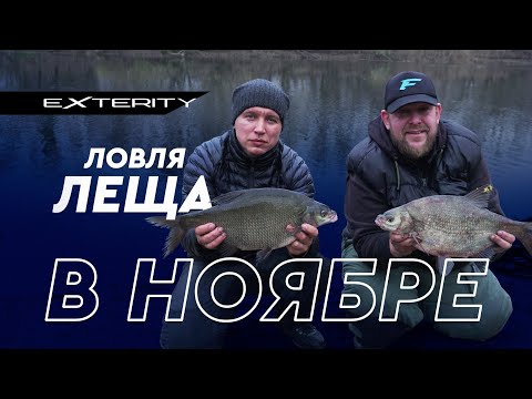 Видео: Ловля леща ночью в ноябре. Река Северский донец