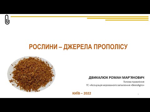 Видео: Рослини – джерела прополісу