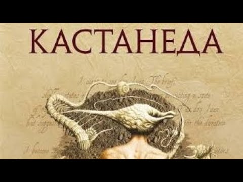 Видео: О творчестве Карлоса Кастанеды и Владимира Серкина
