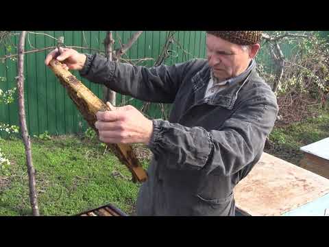 Видео: Формирование сборного стартера и  воспитапки 2 в 1.