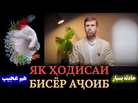 Видео: ЯК ҲОДИСАИ БИСЁР АҶОИБ / حادثه بسيار هم عجیب