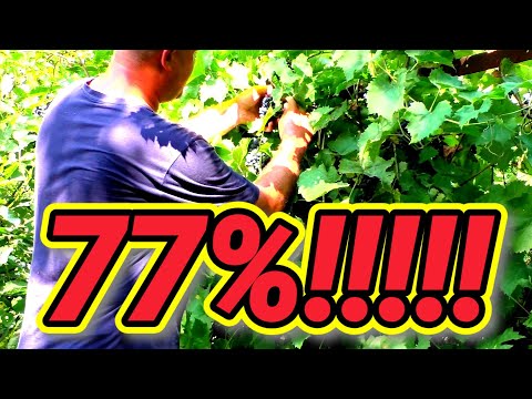 Видео: Не занимайтесь фигнёй!!!!!!