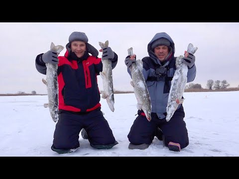 Видео: Дніпровські щуки не дають сумувати! Зимова рибалка на жерлиці