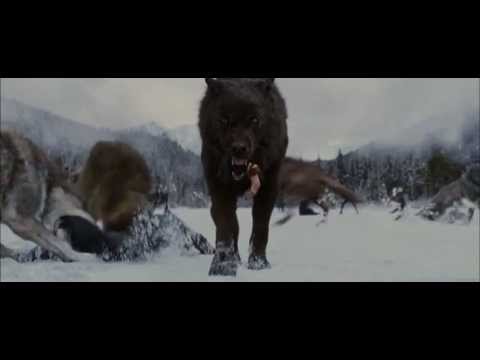 Видео: Клип -  Сумерки 4 " Битва."