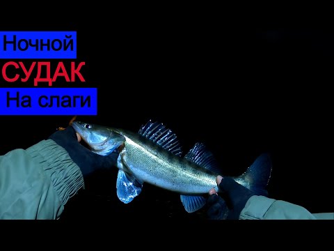 Видео: Ловля НОЧНОГО судака на СЛАГИ/Две короткие РЫБАЛКИ/ловля ПАССИВНОГО судака