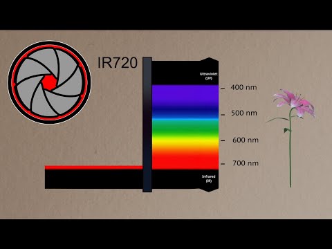 Видео: Съемка на инфракрасную фотопленку. 109 выпуск. Съемка с ИК фильтром.
