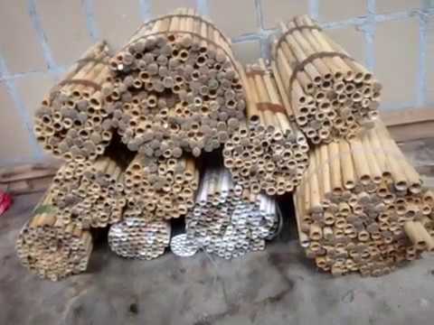 Видео: Извлечение коконов осмий из тростниковых трубок