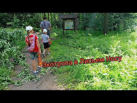 Видео: Выходной в Лисьем носу. Экотропа "У Лукоморья" и через тросник. Лахта центр #выходныессемьей