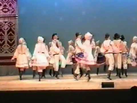 Видео: Ансамбль танца им.П.П.Вирского - Березняняка