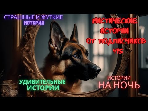 Видео: Мистические истории (озвучка) #мистика  #историиизжизни #страшныеистории #историинаночь #415