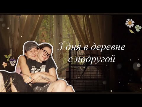 Видео: vlog/ уехали от цивилизации в деревню 