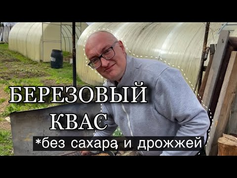 Видео: березовый квас||самый простой рецепт