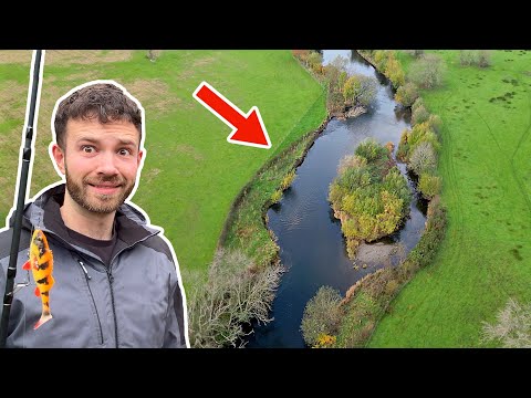 Видео: Рыбалка здесь стоит 30 000 фунтов стерлингов... но у нас есть ОСОБОЕ РАЗРЕШЕНИЕ! 😯
