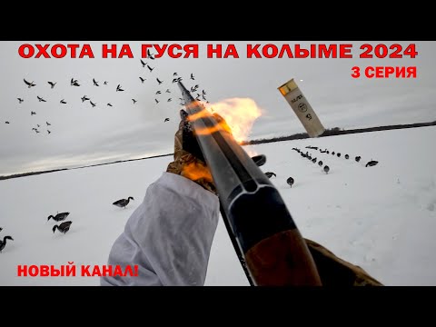 Видео: ОХОТА НА ГУСЯ НА КОЛЫМЕ 2024. 3 ЧАСТЬ. GOOSE HUNTING IN SIBERIA 2024. YAKUTIA