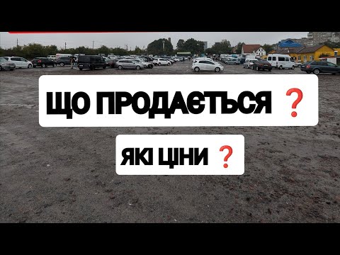 Видео: 28.09.2024📆 Ціни на автомобілі на Рівненському авторинку 🚘 #автопідбір #авто #автоподбор #автомобили