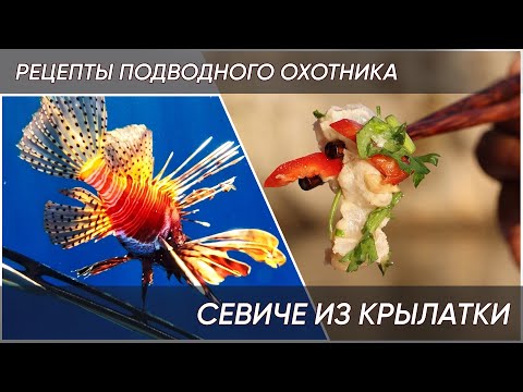 Видео: 🐟Подводная охота в Турции. Стреляем и готовим крылатку вместе с ApneaPro.