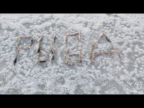 Видео: КАК ПОЙМАТЬ ТРИ РЫБКИ ЗА ВЕСЬ ДЕНЬ. СЛОМАТЬ УДОЧКУ. И ОСТАТЬСЯ СУХИМ.
