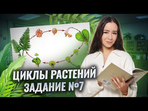 Видео: Все жизненные циклы растений I Биология ЕГЭ 2025 I Умскул