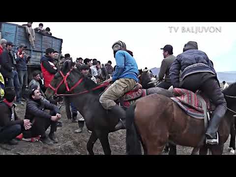 Видео: Бузкаши дар д Зардолудашт н Ховалинг Кисми 11