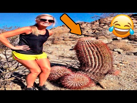 Видео: Я РЖАЛ ДО СЛЕЗ😂 15 Минут ОТБОРНЫХ ПРИКОЛОВ 2024 Смешные видео - Лучшие ПРИКОЛЫ #2