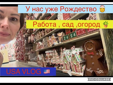 Видео: USA VLOG 🇺🇸 Муж вернулся 🥰 Врезалась в машину 😟 Голубцы , сад 🪴 Всем добра 🥰