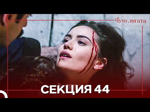 Видео: Чучулигата Cekция 44 (Дублирано на български)