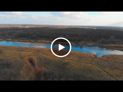 Видео: Южное водохранилище - Батуринская#не