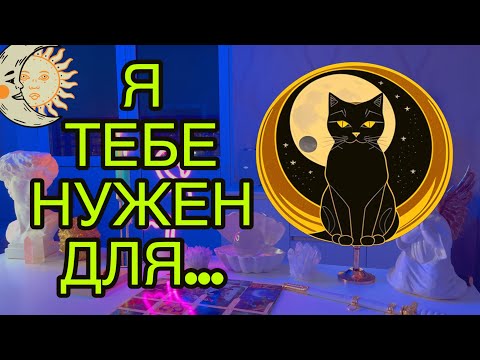 Видео: 👽🕷️ДЛЯ ЧЕГО ОН 🖤ТЕБЕ, ПО ЕГО МНЕНИЮ... 🌙Таро🦋