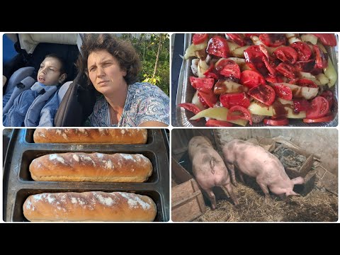 Видео: Наші будні 23 вересня 2025. Пиріжки в сметані. Риба з овочами.
