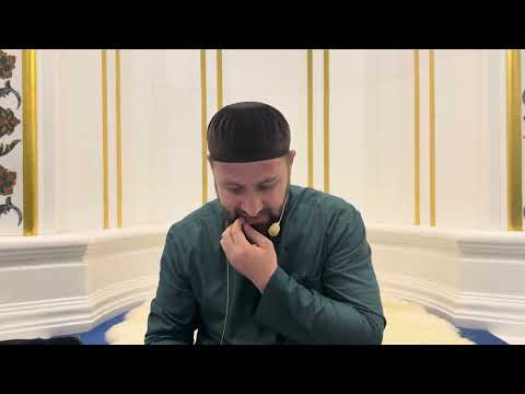 Видео: Хьехам /Турпал Ахмадов/