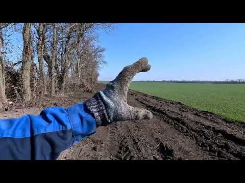 Видео: КОП МЕТАЛЛА 23.03.2025