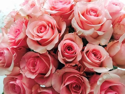 Видео: К 100-летию нашей Великой Любимой Матери посвящается!