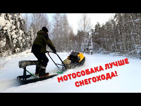 Видео: Мощный мотобуксировщик - пробили путик в тайге \ Шалаш в тайге