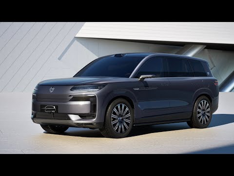 Видео: Denza N9 для тех кому надоел Li L9