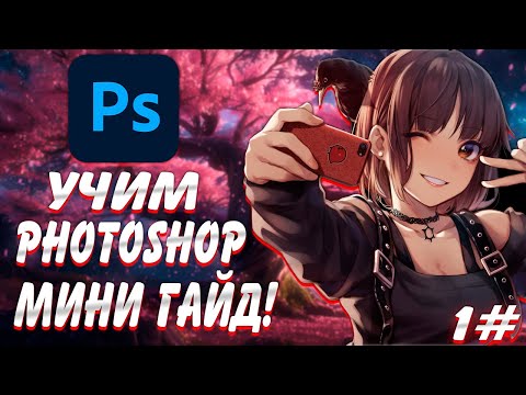 Видео: Погружение в Photoshop: с Нуля до Профи - Часть 1 (Актуально 2024)