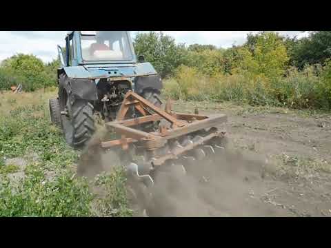 Видео: Дискую дебри на МТЗ-80 самодельным дискатором! Processing of the wilds by the Soviet MTZ-80 tractor