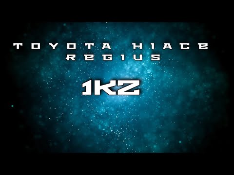 Видео: ТНВД 1KZ
